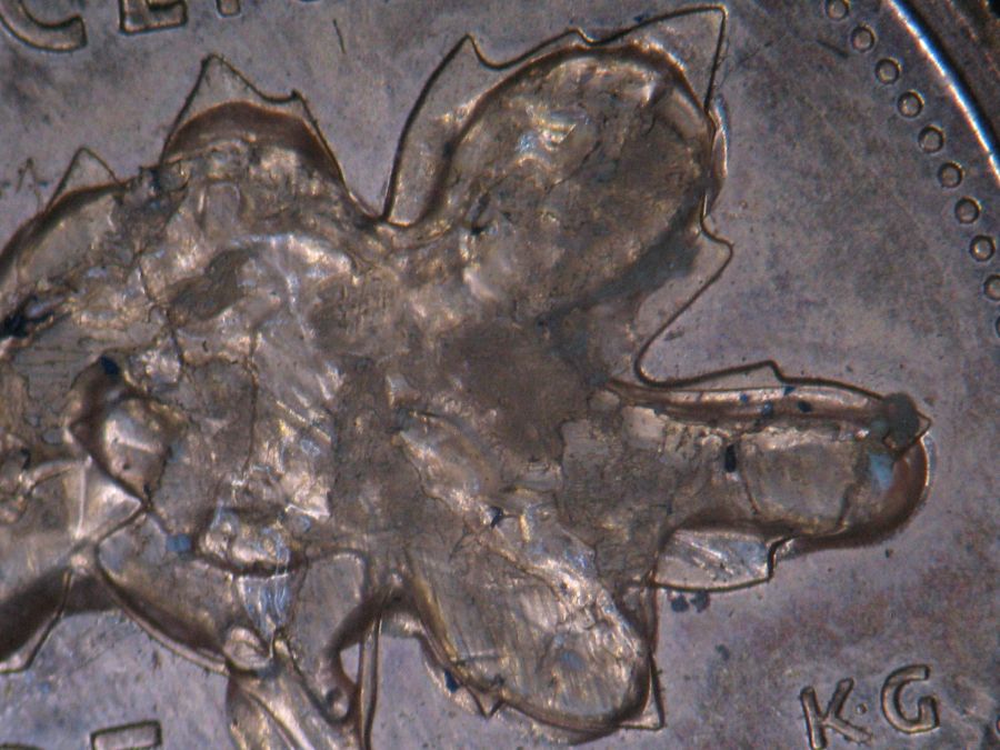 Post-Your-Strange-Coin-Finds