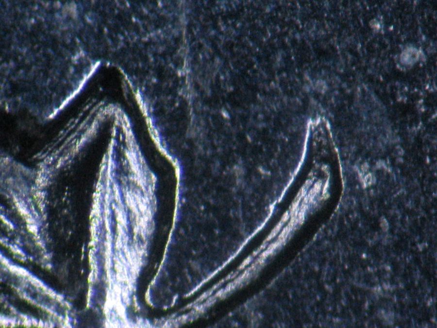 Post-Your-New-Canadian-Doubled-Die-Finds-Listed-In-John-O'connor's-Guide
