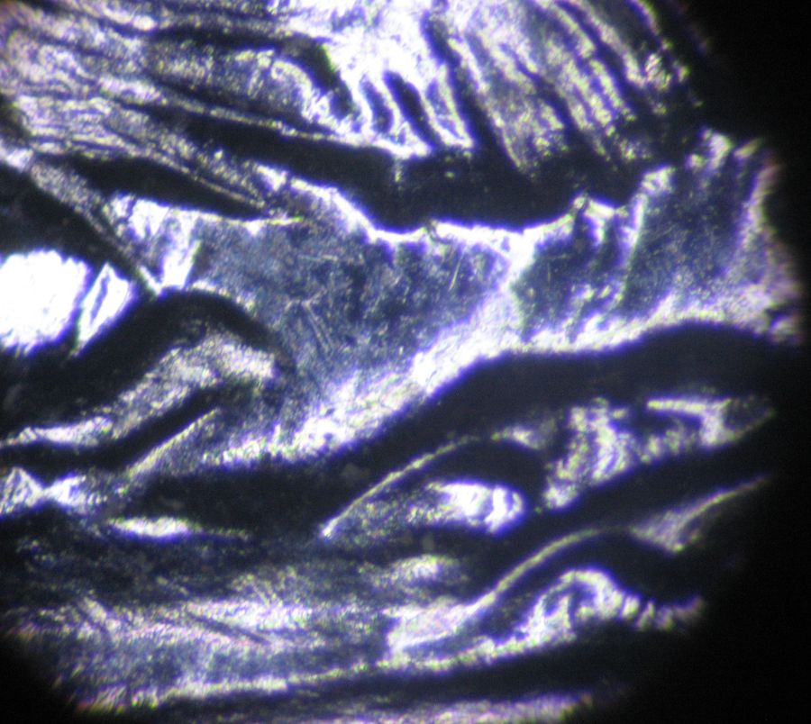 1965-Canadian-5-Cent---Double-Die-5-With-And-Amazing-Network-Of-Lathe-Lines