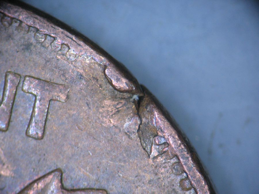 1979-Canadian-1-Cent-Hanging---Ragged-Fissure-Clip