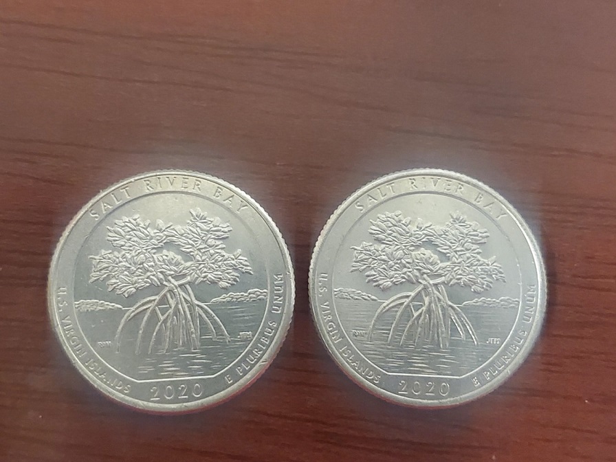 2020-Salt-River-Bay-P-Quarter