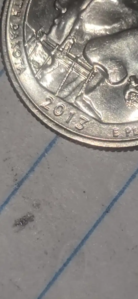 2013-Quarter-Date-Issuse