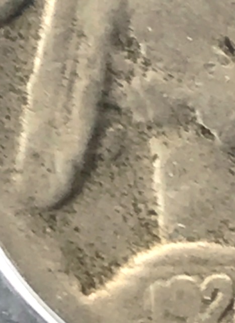 Possible-1926-D-Buffalo-Nickel-2-Feather