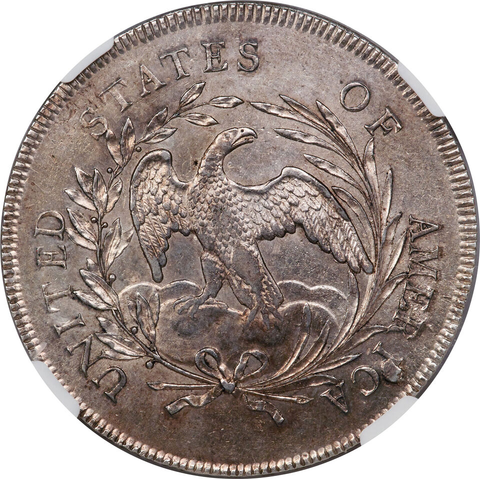 1796-Bust-Coin.-Real-Or-Fake?