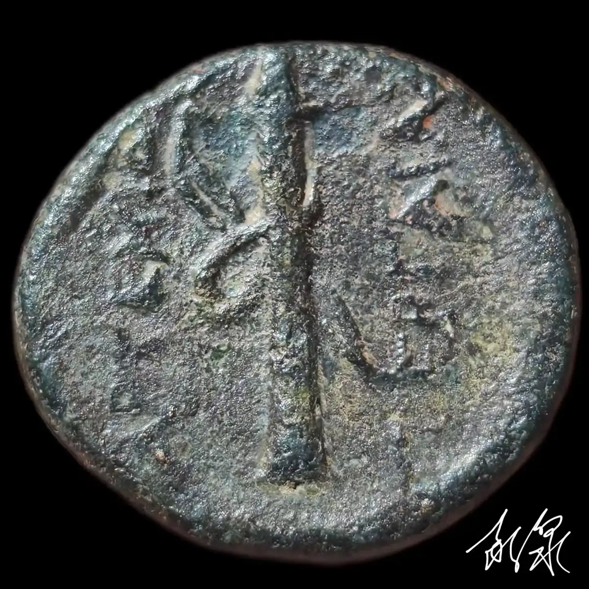 Back-In-CCF---Artemis-Pergaia-Ae