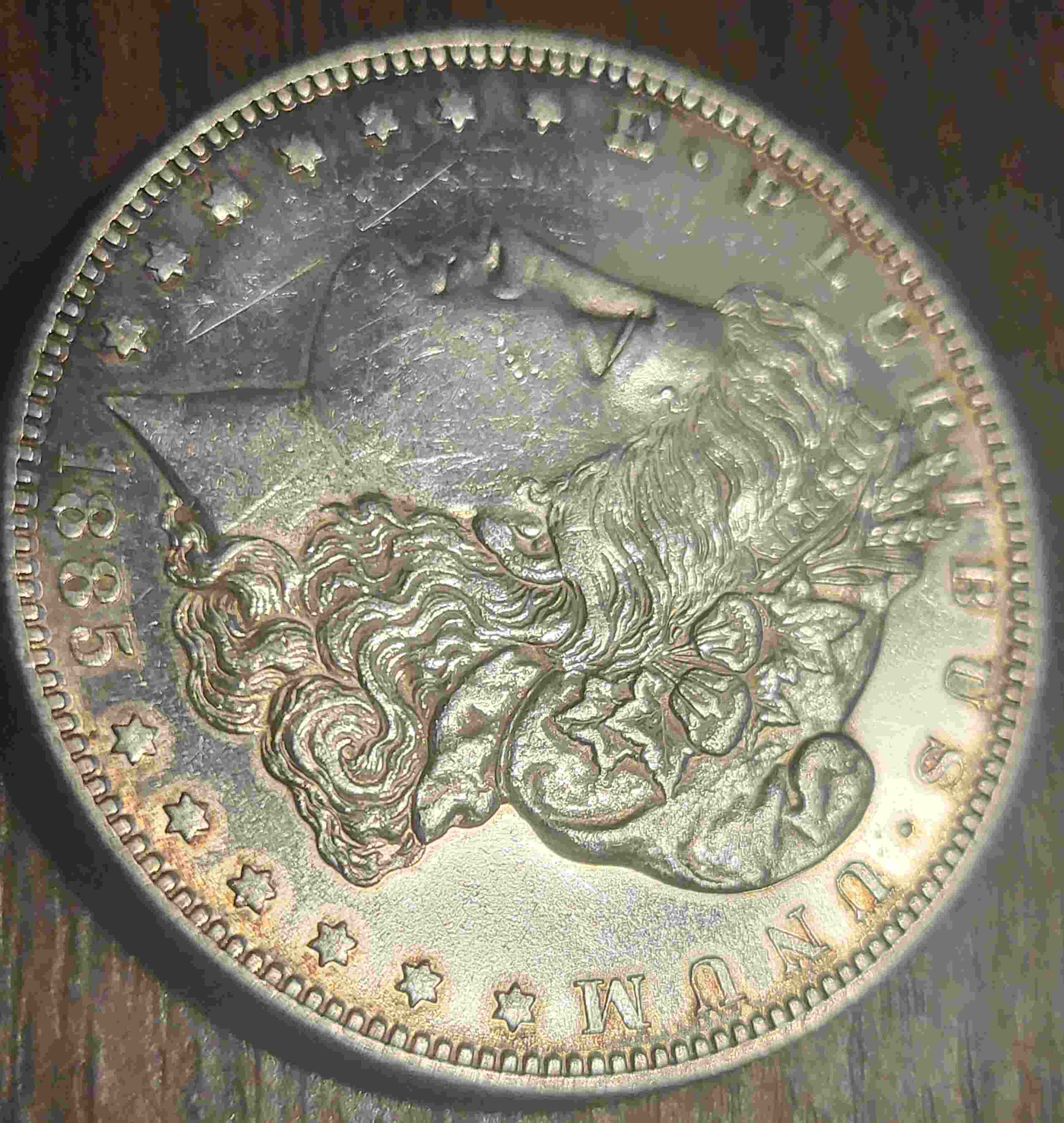 1885-S-Morgan-Dollar-For-Grading