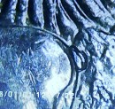 2006-North-Dakota-Quarter-Cud