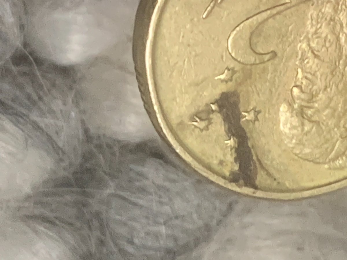 Aust-2$-Lamination-From-Noodling