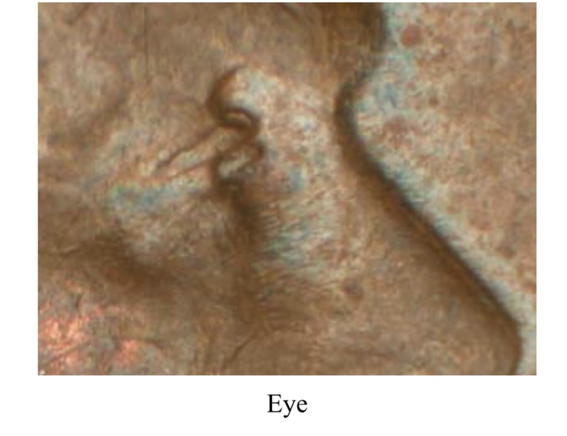 1942-Lincoln-Cent-DDO-003-Class-C