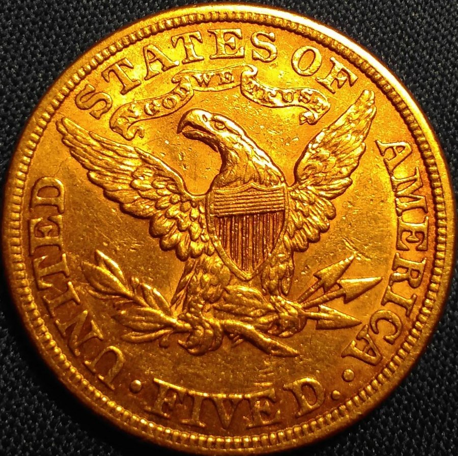1881-$5-Half-Eagle---Please-Grade!