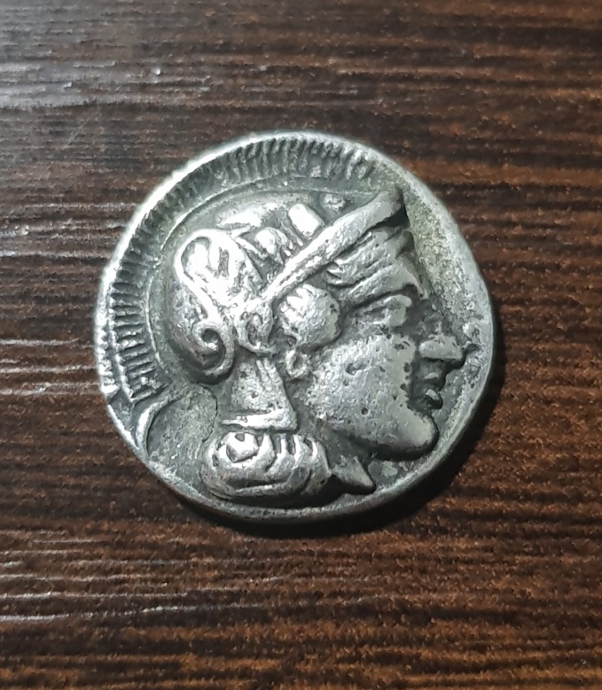 Owl-Athena-Real-Or-Fake-!!?