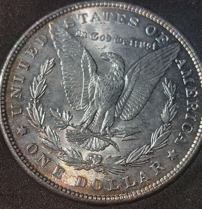 1889-Morgan-Grading-Help