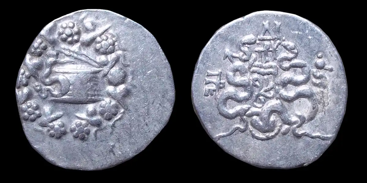 Snakes-On-A-Coin!-Cistephoric-Tet