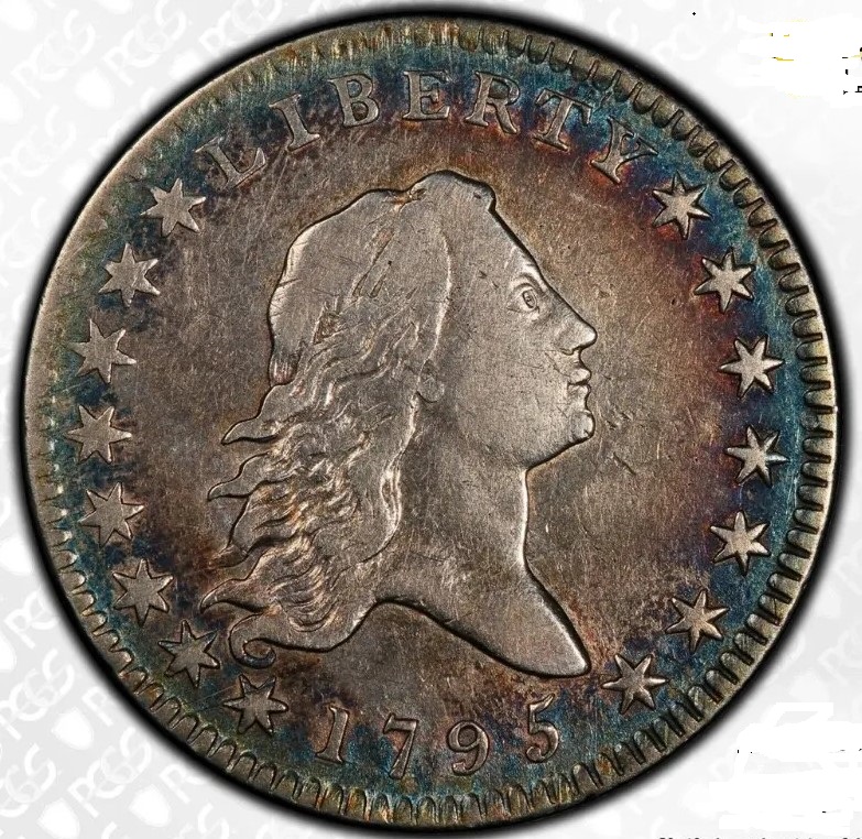 PCGS-Gave-This-1795-Half-Dollar-A-Details-Grade