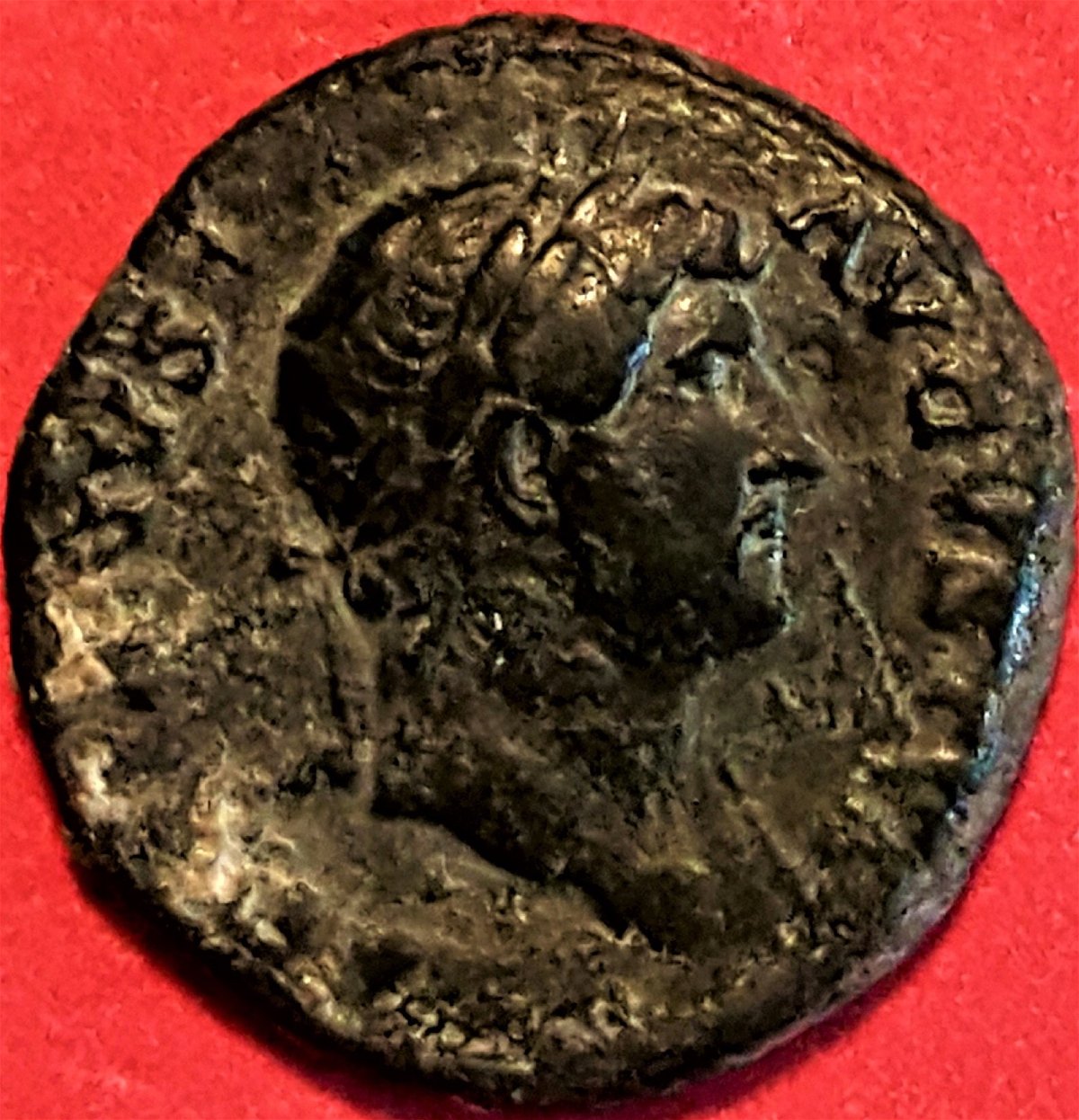 Newest-Ancient-Aquisitions:-Hadrian-And-Elagabalus!