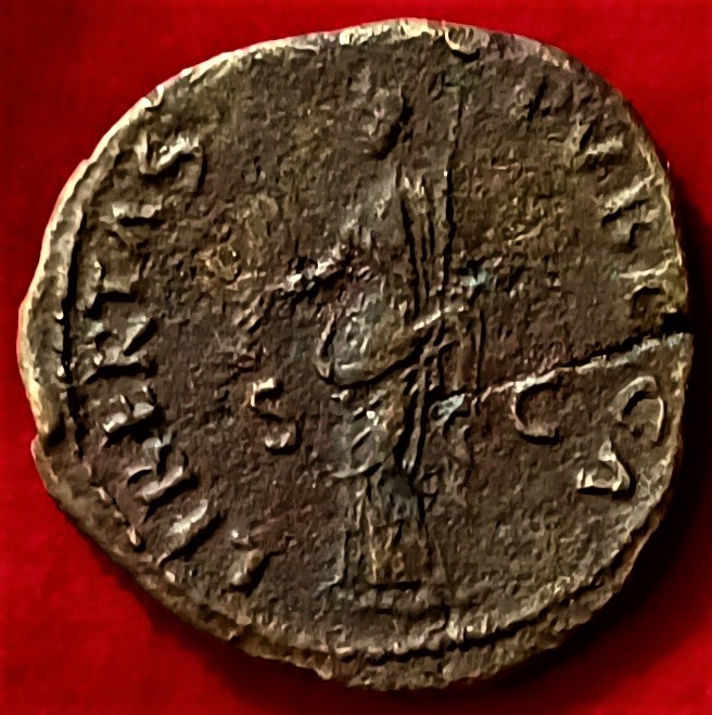 The-Nerva-This-Guy:-The-Coin-As-Portrait-Art