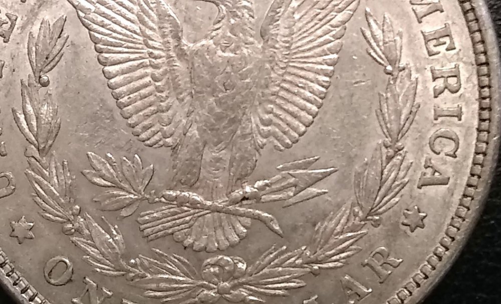 Looking-For-Help-With-An-1878-8TF-Morgan