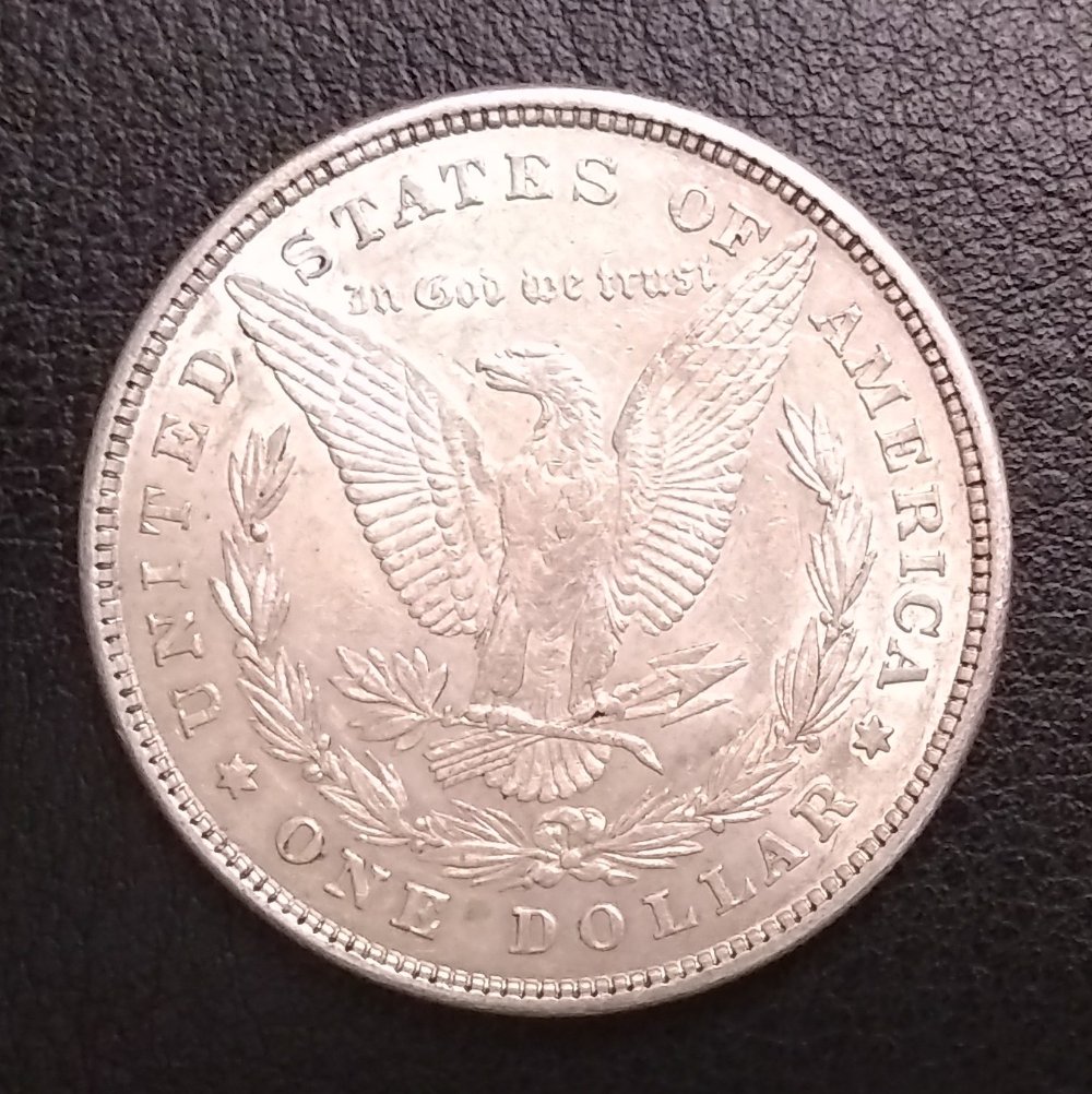 Looking-For-Help-With-An-1878-8TF-Morgan