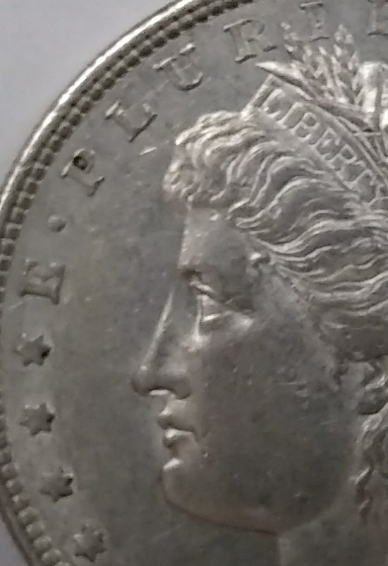Looking-For-Help-With-An-1878-8TF-Morgan