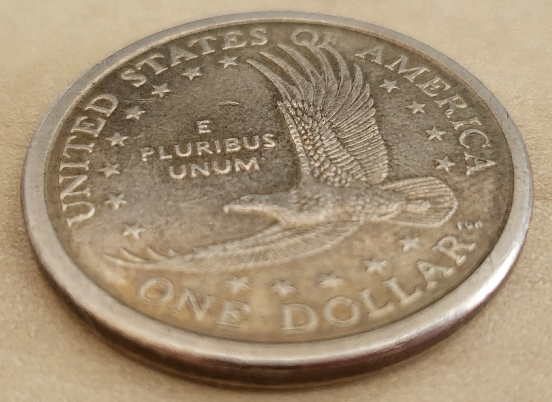 Small-Pits-In-Sacagewea-Dollar.-2007-D