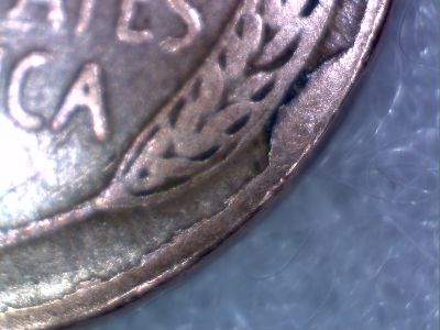 1955-Wheat-Cud-Error?