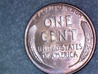 Toned-1955-Wheat,-What-Do-You-Think?