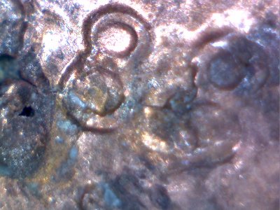 1988-Lincoln-Penny,-Strange-Looking-Date?