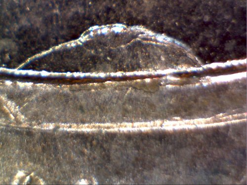 2015-Lincoln-Cent,-Cud-Or-Die-Chip-On-Shield?