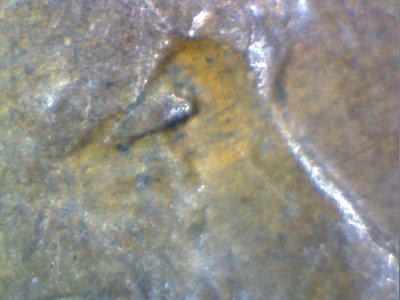 1927-P-Wheat-Penny-DDO?