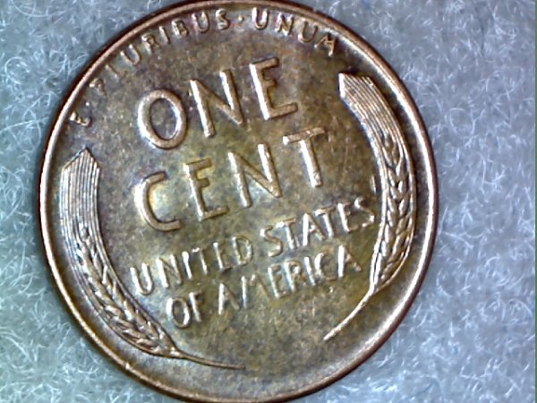 1957-D-Wheat-Penny-For-A-Grade-Please.
