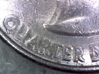 2000-P-New-Hampshire-State-Quarter,-Worn-Die?