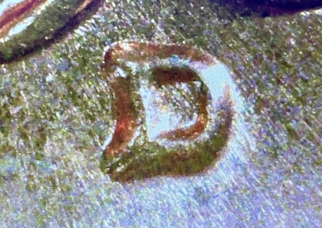 1961-D-Lincoln-Penny-RPM