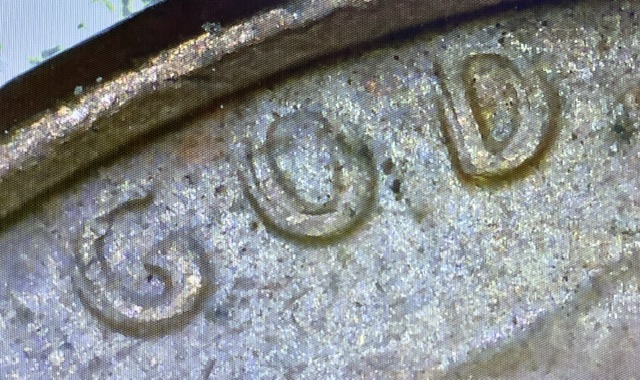 1972-D-Lincoln-Penny-DDO
