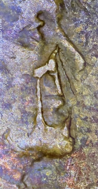 1950-D-Wheat-Penny-Face-Lamination-Error