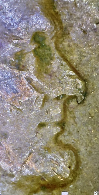 1944-Wheat-Penny-Nose-Booger-Lamination-Error