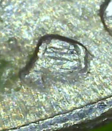 1996-Possible-Error-D-Over-P?