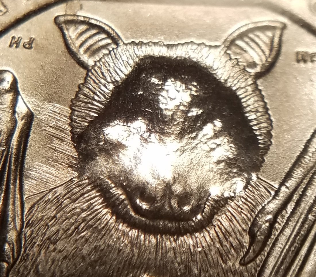 2020-P-American-Samoa-Quarter-Strange-Strike-Through