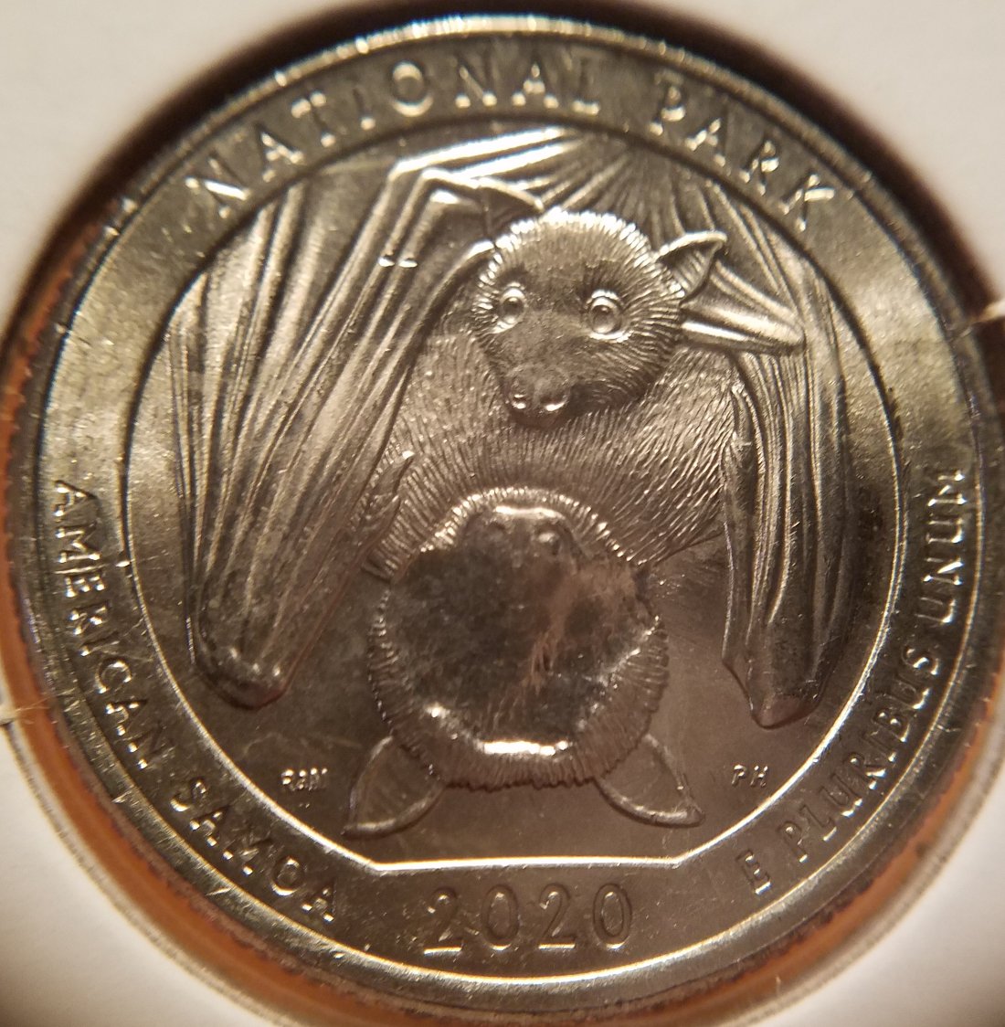 2020-P-American-Samoa-Quarter-Strange-Strike-Through