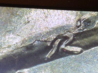 Kennedy-Half-Dollar-2023-Die-Crack?