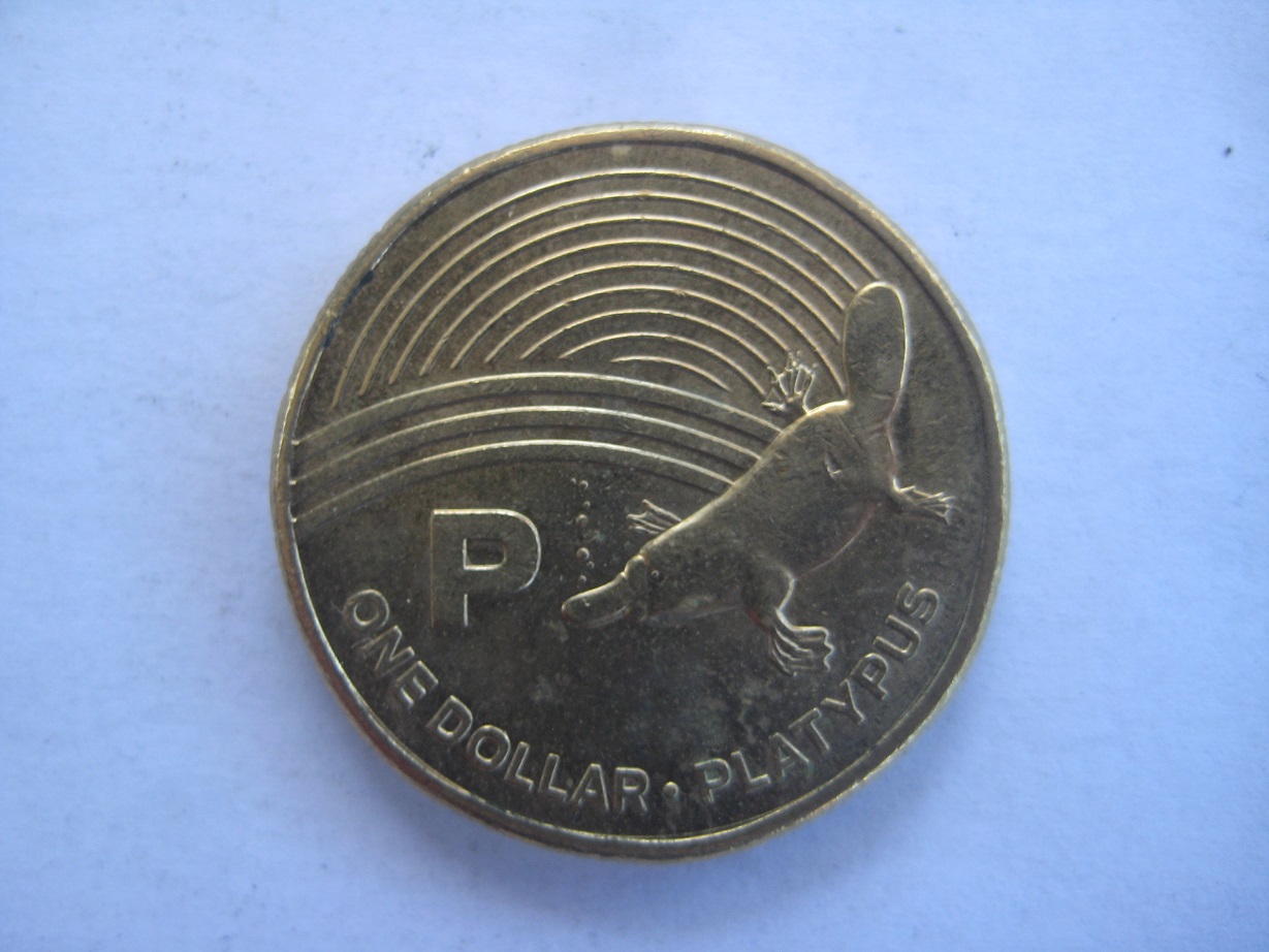Task---To-Noodle-A-Complete-Set-Of-The-Great-Aussie-Coin-Hunt--'A'-To-'Z'