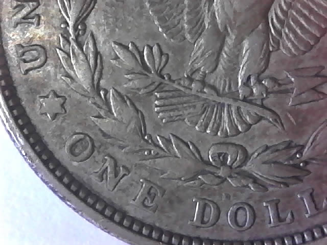 1921-D-Morgan-Silver-Dollar---Grade-Please?