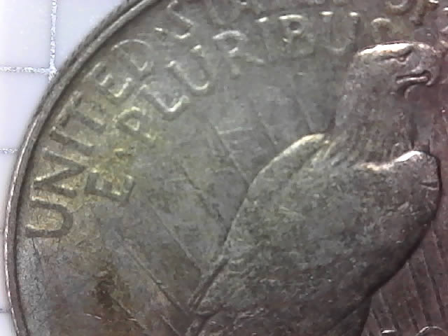 1922-D-Peace-Silver-Dollar---Approximate-Grade?