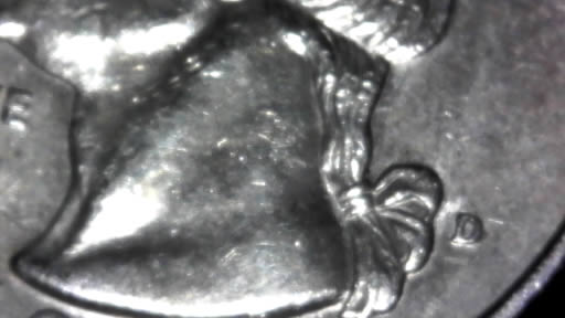 1996-D-Quarter---Nose-Hair-Scratch-Or-Error?