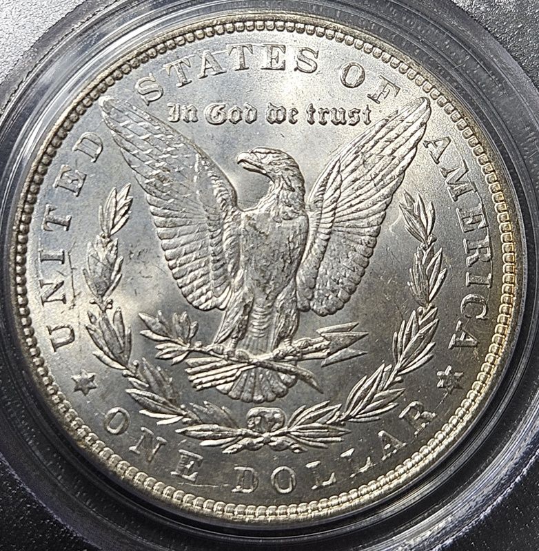 1887-P-Morgan-Dollar:-New-Acquisition:-Can-You-Guess-The-Grade?