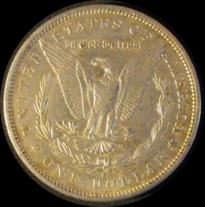 28-Days-Of-Morgans