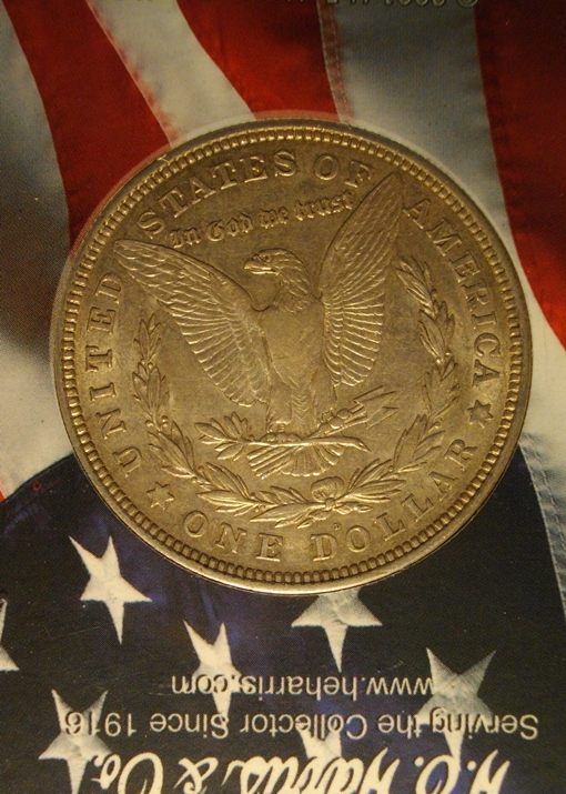 28-Days-Of-Morgans