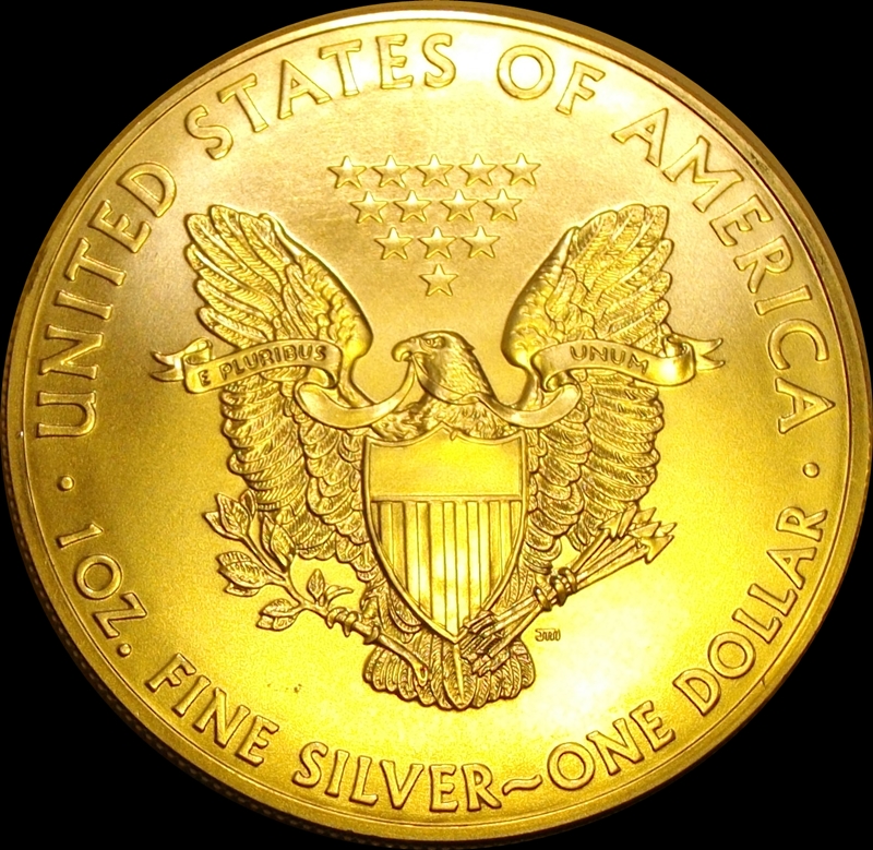2013-Silver-Eagles-In-My-Hands