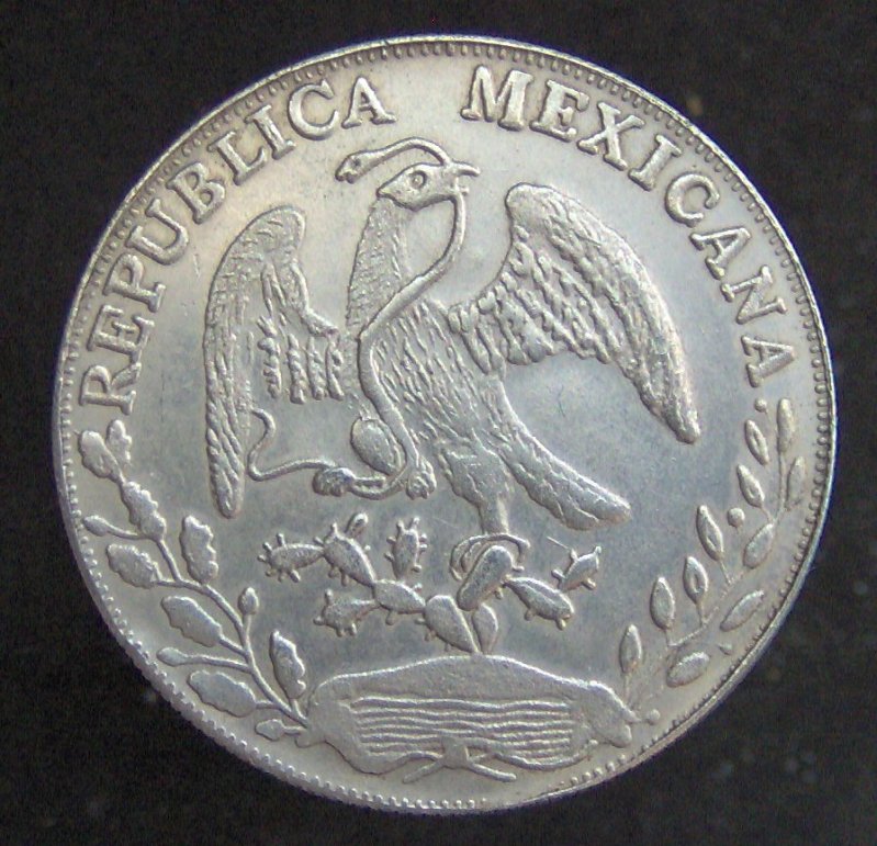 8-Reales---Genuin-Or-Forgery?