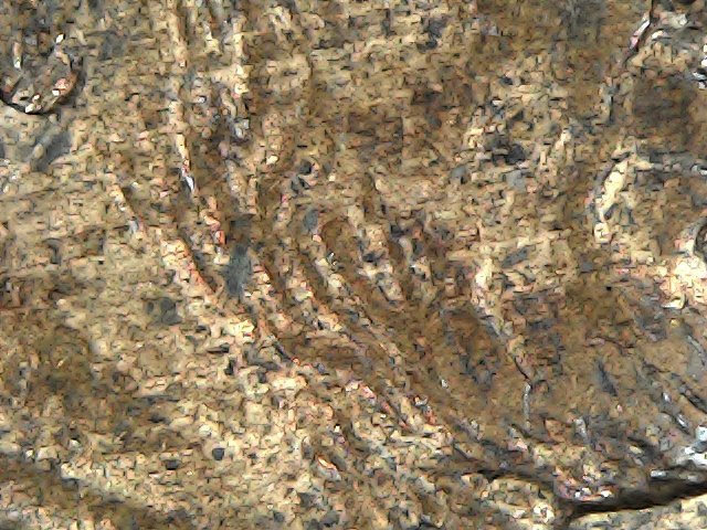 2001-P-Lincoln-Cent-With-Anomoly