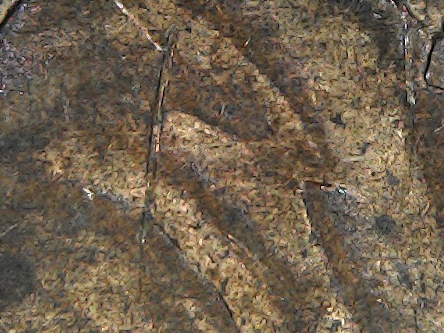 2001-P-Lincoln-Cent-With-Anomoly